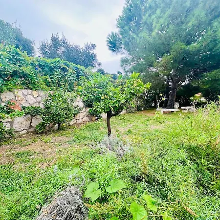 Villa Unique Villa, Pool, Nature & Monaco On Foot Beausoleil