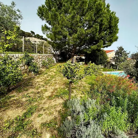 Villa Unique Villa, Pool, Nature&monaco On Foot Beausoleil